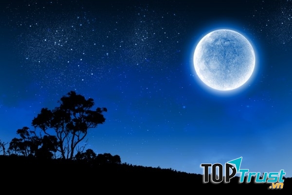 Bầu trời đêm như một tấm thảm đen mênh mông rộng lớn được tô điểm bằng những vì sao.