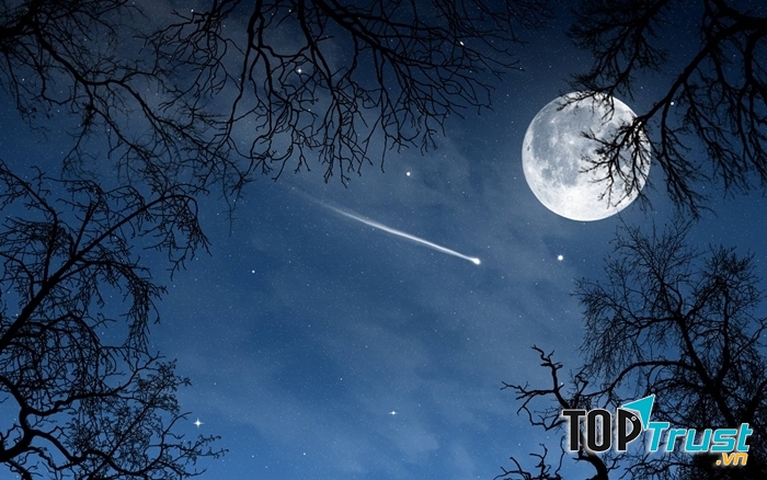 Khi trăng đã lên quá đầu ngọn tre, ta đã có thể nhìn thấy rõ hình ảnh chú Cuội ngồi bên gốc đa.