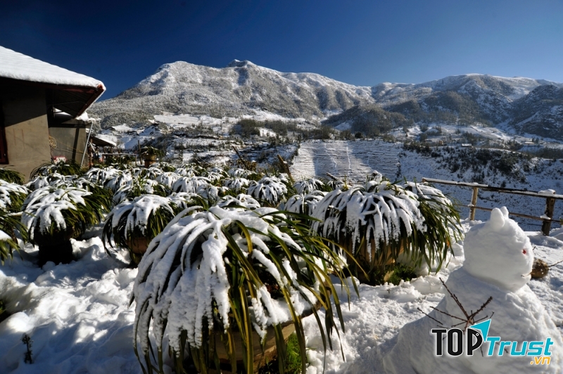 Tuyết phủ ở Sa Pa- Nguồn: Internet