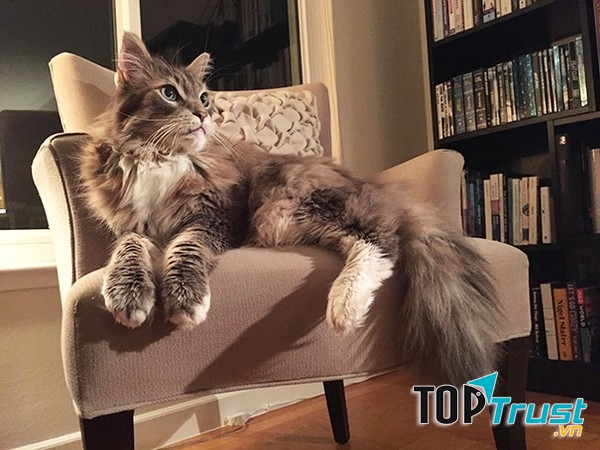 3. Béo cũng có quyền kiêu sa chứ bộ.