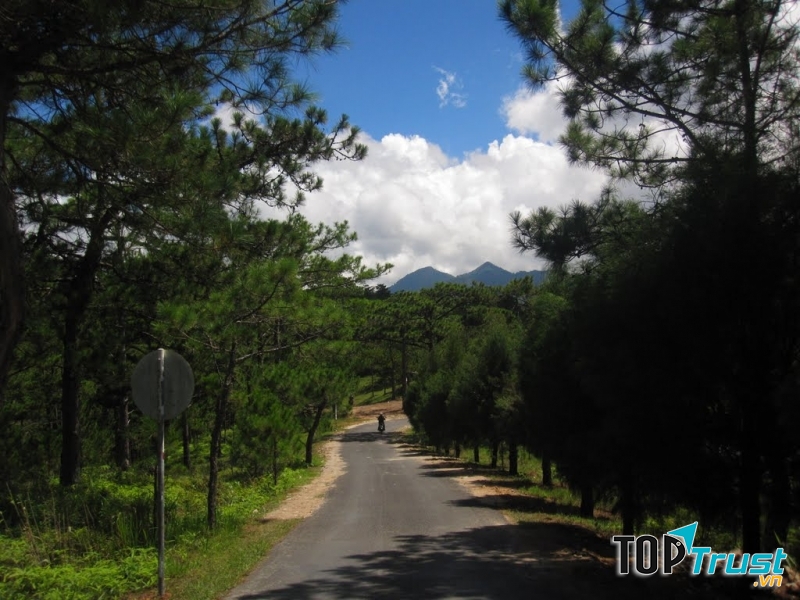 Một góc trời Đà Lạt- Nguồn: Internet