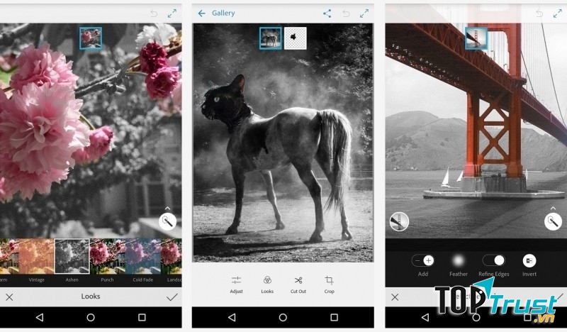 Bộ lọc phong phú