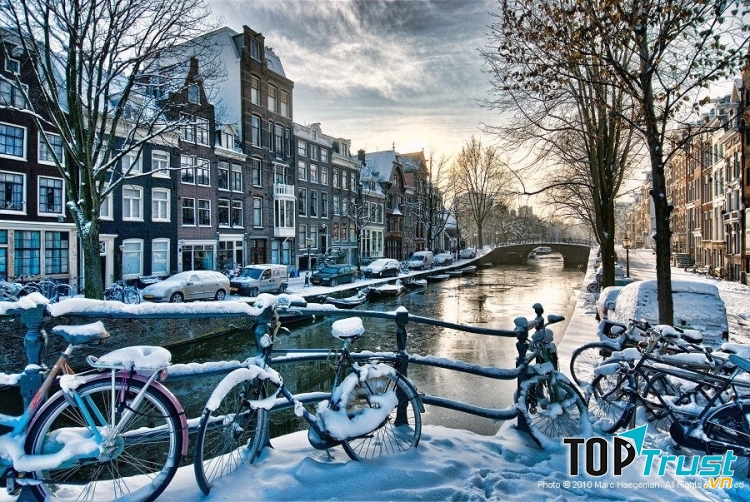 Ảnh minh họa (Nguồn internet)