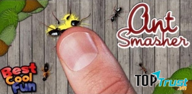 Nhiệm vụ của trò chơi là bạn tiêu diệt nhiều loại kiến một cách nhanh nhất và đặc biệt tránh xa ong độc - Đừng chạm vào chúng.