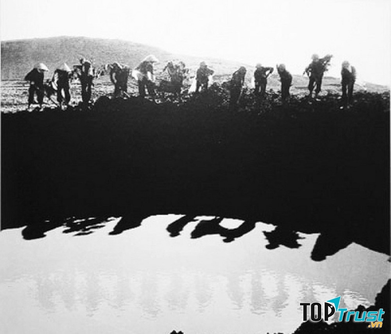 Ảnh minh họa (nguồn internet)