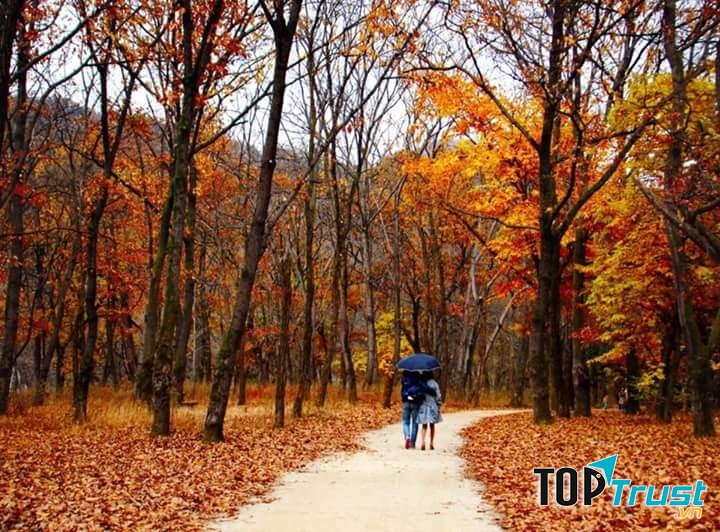 Ảnh minh họa (nguồn internet)