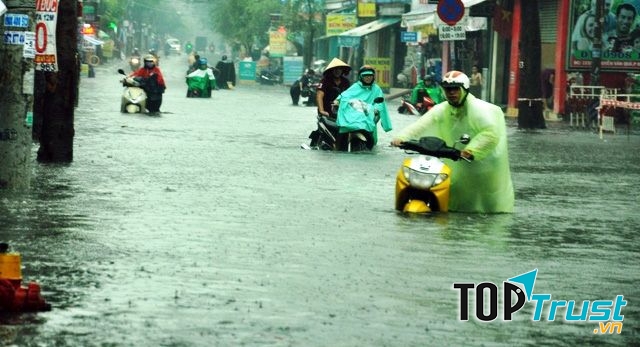 Ảnh minh họa (nguồn internet)