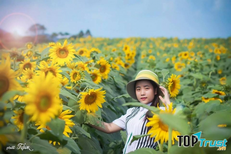 Ảnh minh họa (nguồn internet)