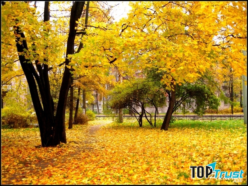 Ảnh minh họa (nguồn internet)