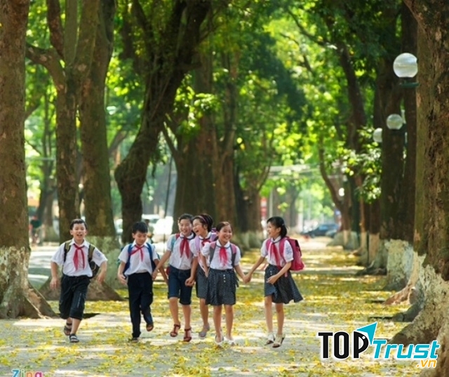 Ảnh minh họa (Nguồn internet)