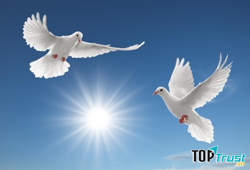 Ảnh minh họa (Nguồn internet)