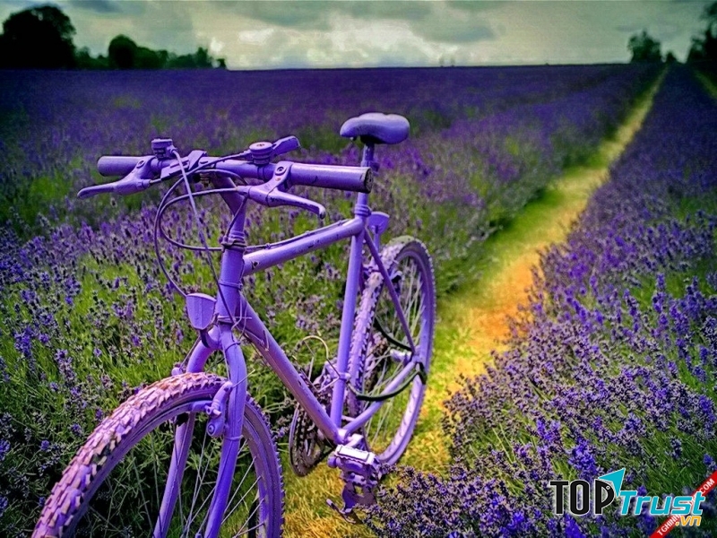 Đi du lịch khiến bạn thoát khỏi cảm giác buồn chán