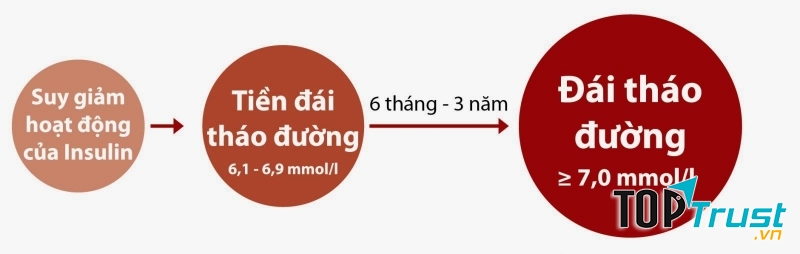 Hoạt động của Insulin quyết định tới căn bệnh tiểu đường của bạn