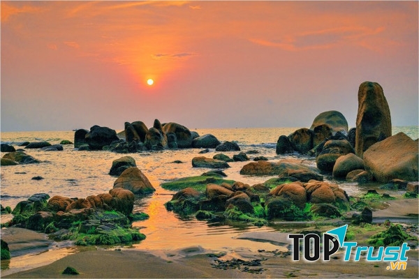 Rêu xanh Cổ Thạch - Nguồn: Internet