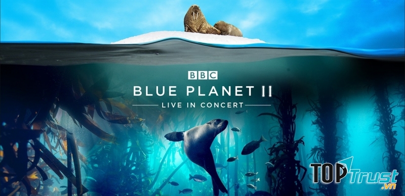 Blue Planet