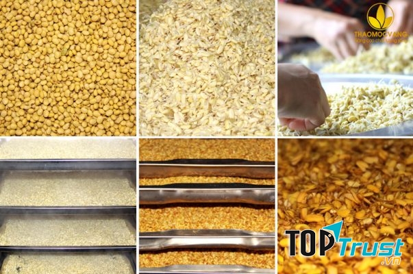 Quy trình sản xuất bột mầm đậu nành Fami của Thảo Mộc Vàng