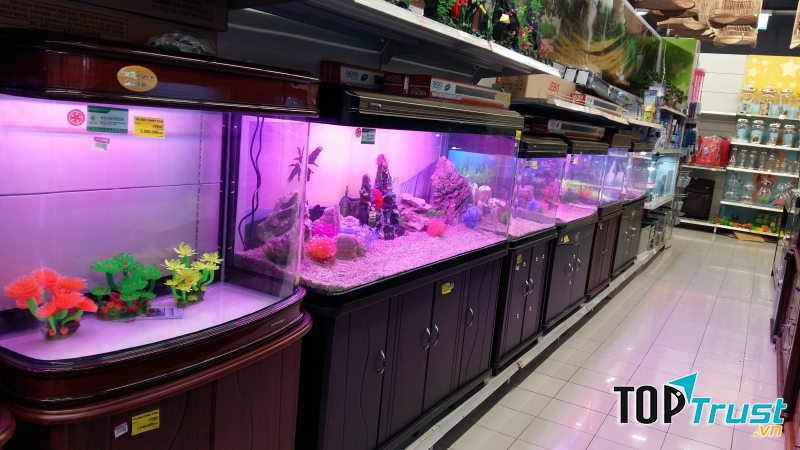 Cá cảnh Sài Gòn