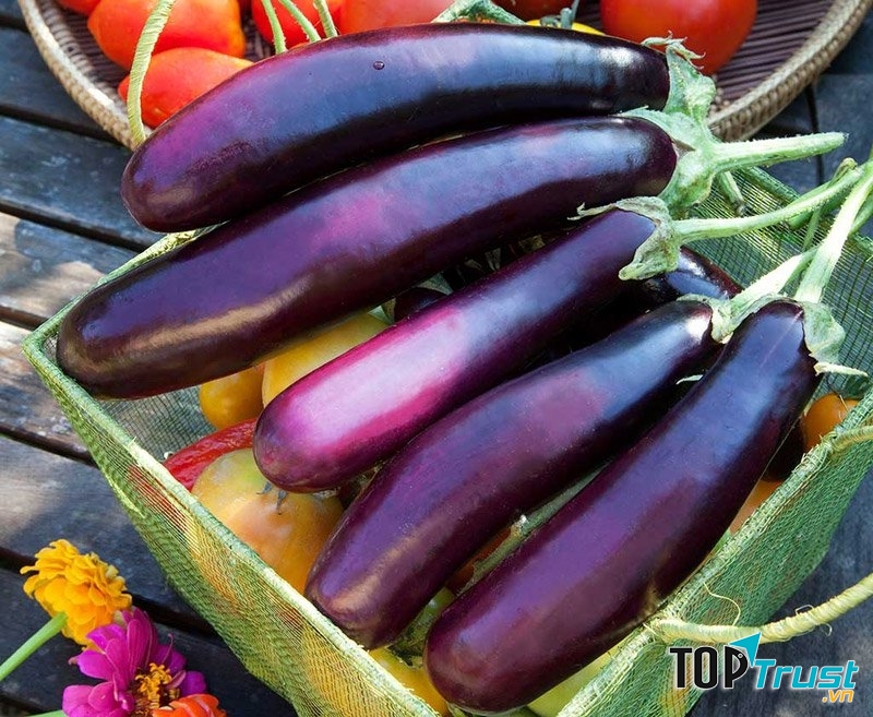 Cà tím giúp ngăn chặn các tế bào ung thư