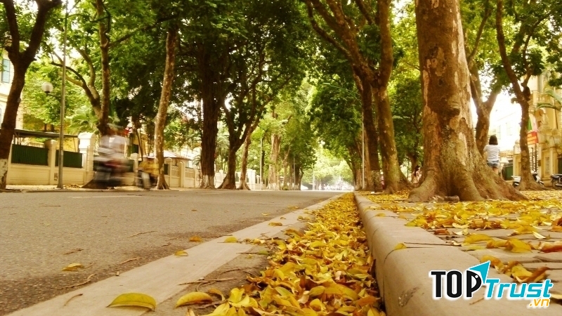 Ảnh minh họa (Nguồn internet)