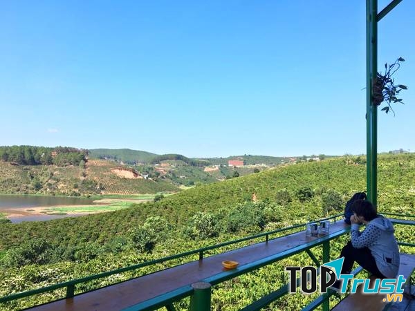 Quán được bao quanh bởi trang trại cafe nhỏ