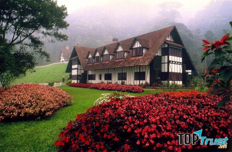 Cao nguyên Cameron - nét đẹp thuần khiết