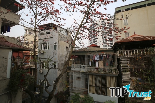 Ảnh minh họa (nguồn internet)