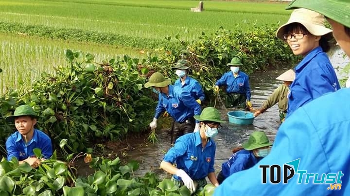 Tham dự Mùa hè xanh thật sự sẽ là một trải nghiệm tuyệt vời!