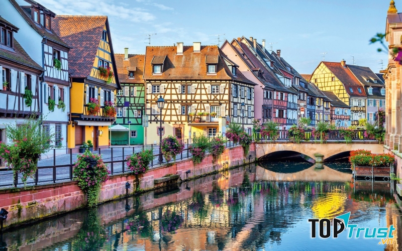 Bạn sẽ gặp hoa tại bất cứ nơi đâu ở Colmar.