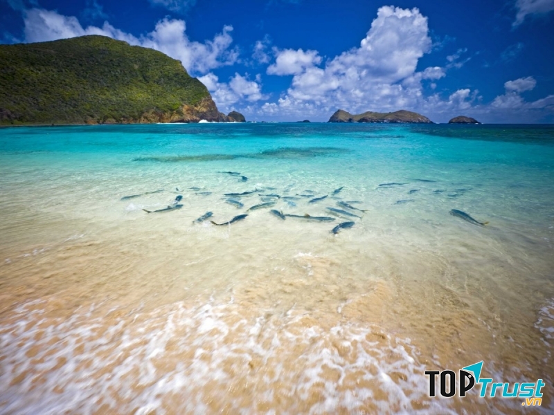 Côn Đảo tươi đẹp.