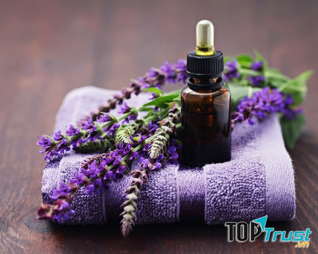 Lavender giúp thư giãn và có nhiều công dụng khác