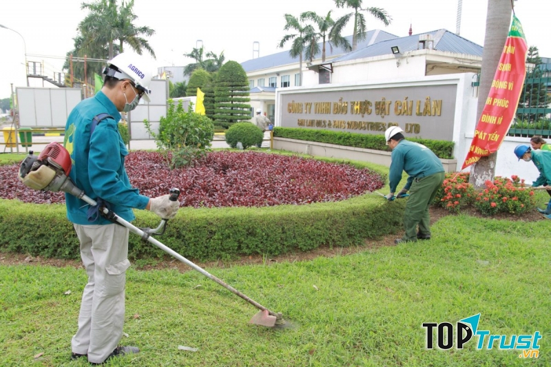 Với đội ngũ chuyên viên kỹ thuật chuyên nghiệp giàu kinh nghiệm, công ty sẽ đáp ứng một cách đầy đủ các yêu cầu về việc duy trì, chăm sóc cây xanh các công trình cảnh quan của khách hàng