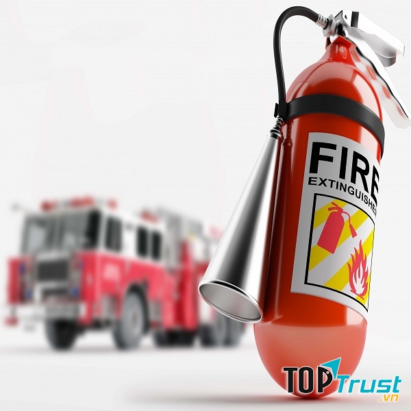 Công Ty TNHH Thương Mại Và Dịch Vụ Lý Cường