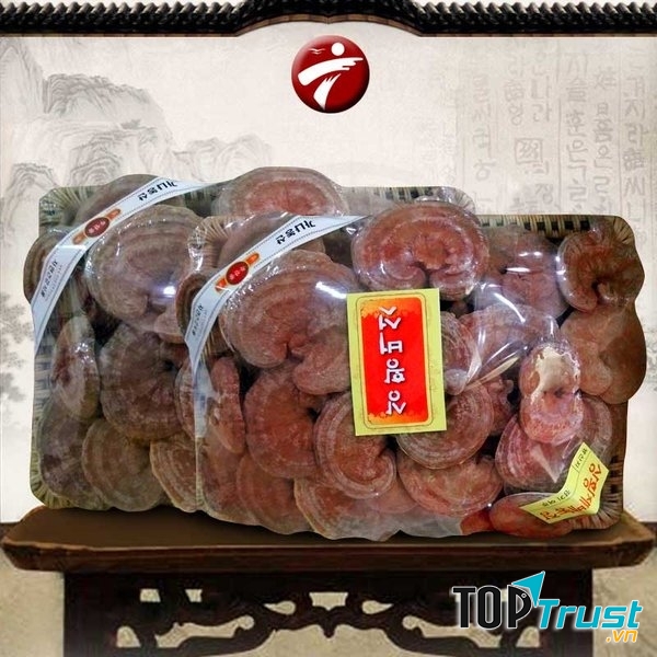 Nấm linh chi tại Onplaza
