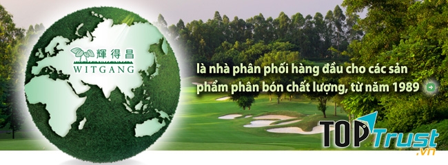 Công ty TNHH Witgang Việt Nam