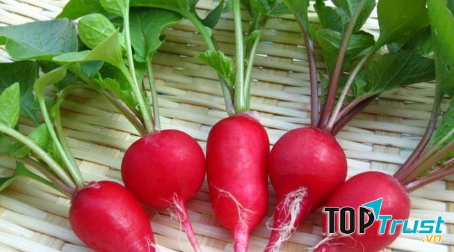 Củ cải đường màu đỏ giúp bạn kiểm soát nồng đồ cholesterol trong cơ thể.