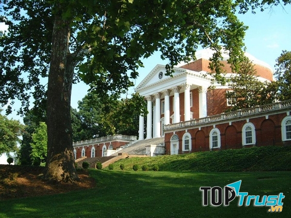 Trường Đại học Virginia