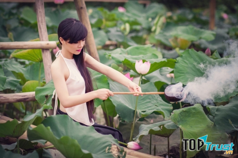 Dịu dàng với những đóa sen