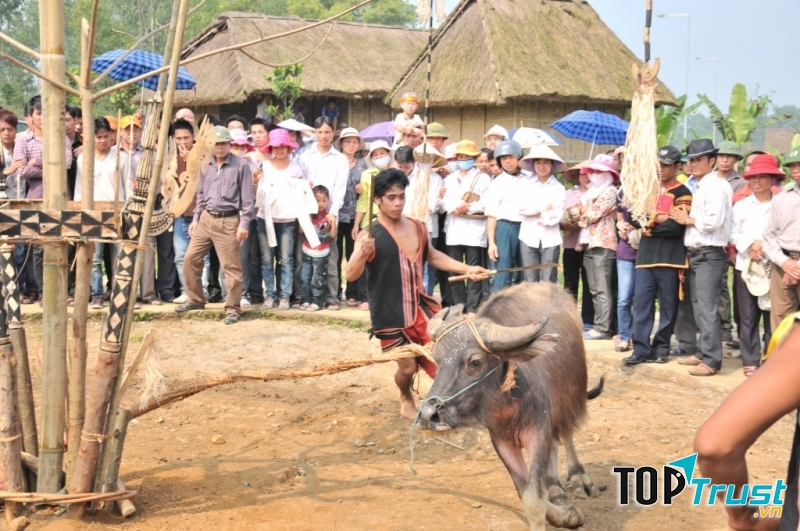Lễ hội đâm trâu của người Brâu.