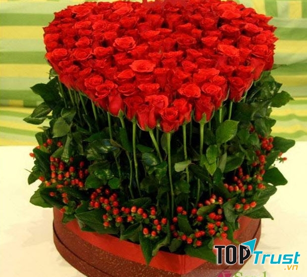 Dành cho mọi cô gái