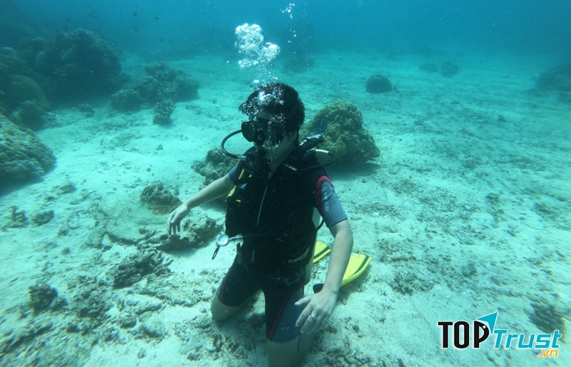 Lặn ngắm san hô ở đảo Boracay