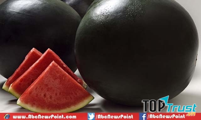 Dưa hấu đen Densuke