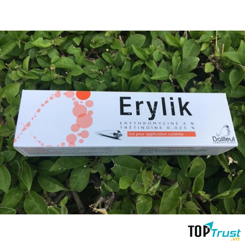 Erylik