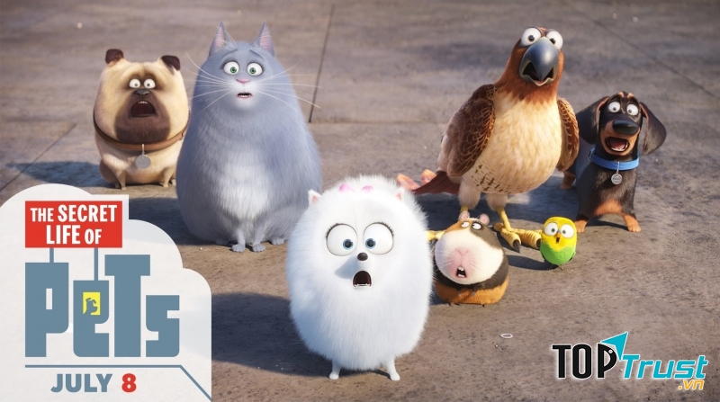 Thế giới động vật tràn đầy những bí mật