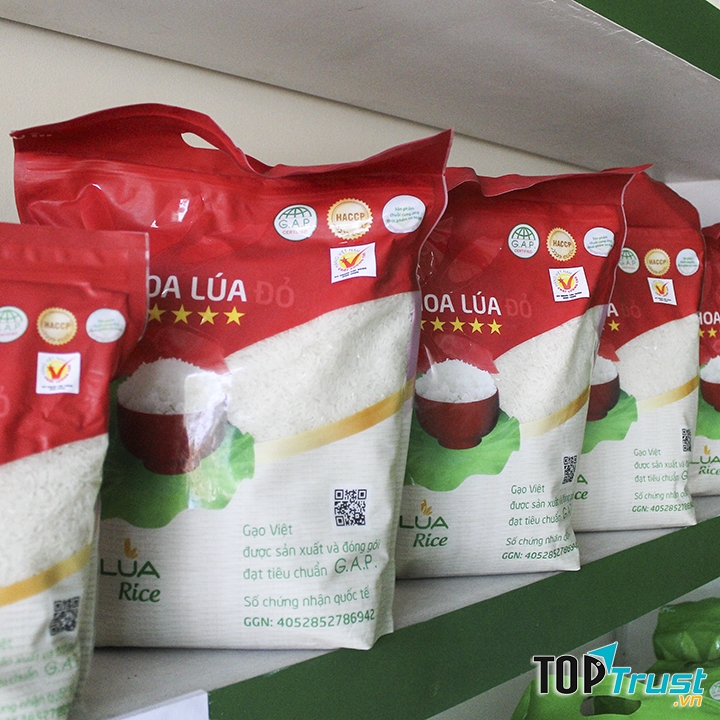 Gạo Hoa Lúa