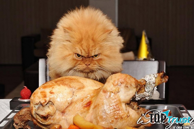 Cái đứa ta ghét nhất bị nướng rồi