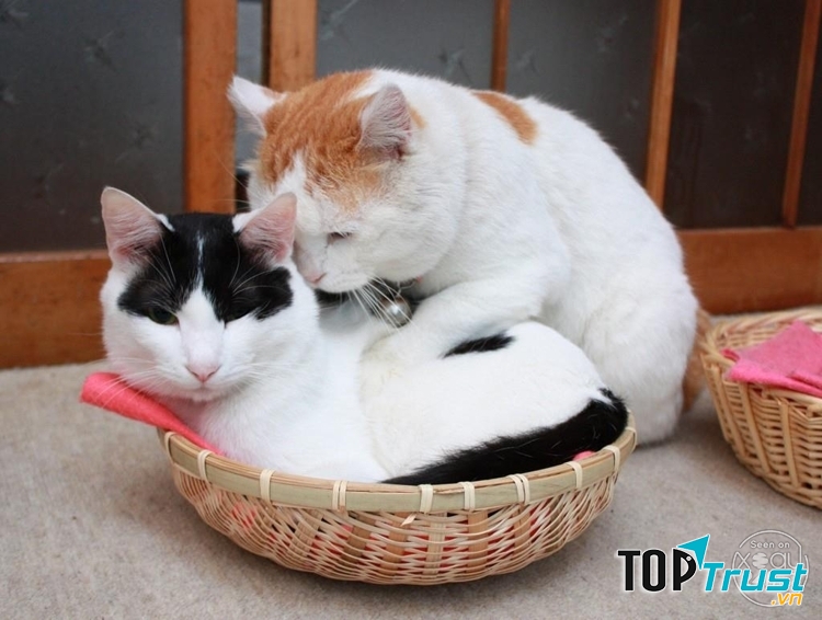 Chả chỗ ngủ đây