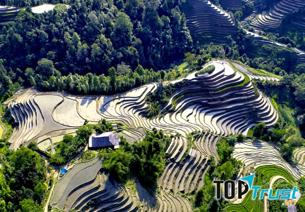 Du lịch Hà Giang Tết 2020