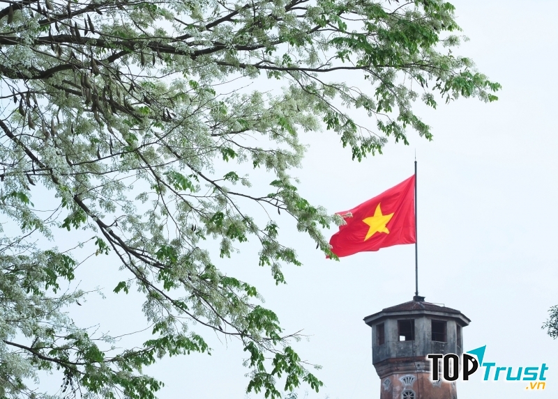 Ảnh minh họa (Nguồn internet)