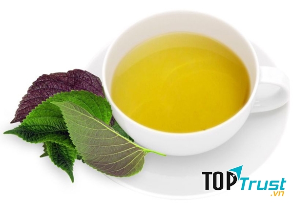 Tía tô giúp hạ sốt