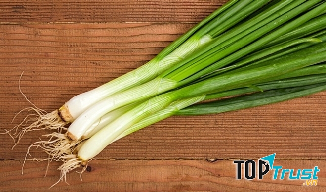 Cây hành tươi